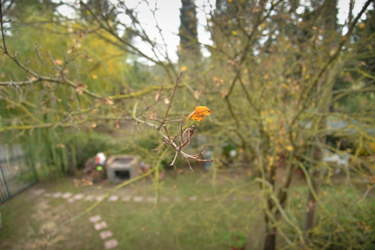 Agriturismo La Pineta Piana Exterior foto